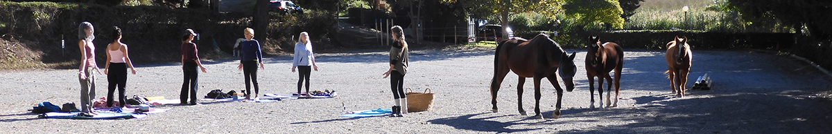 yogacavalli corsilezioni