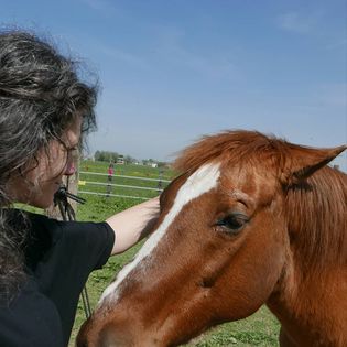 30726642 10155667843154037 8357276295180058624 n