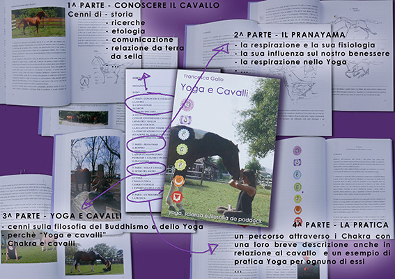 libro cosa aspettarsi2