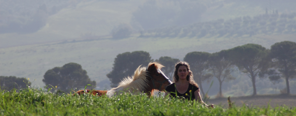 cavalli spiritualita00