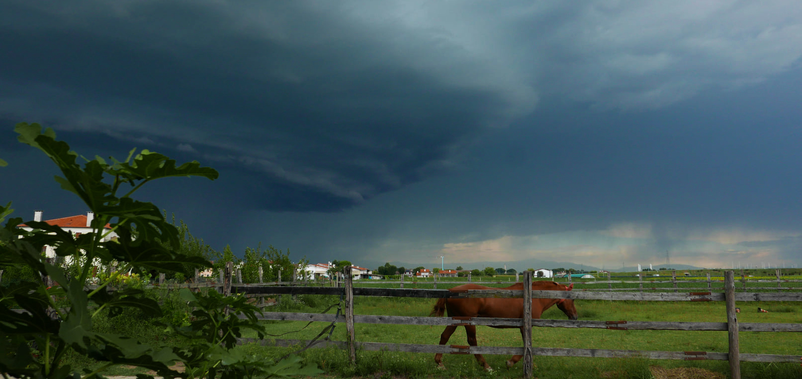 cavalli spiritualita04