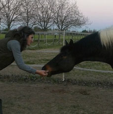 comunicazione intersp img bt