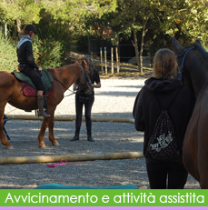 avvicinamento img bt rollover