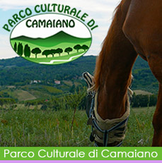 camaiano img bt rollover