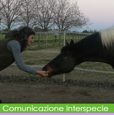 comunicazione intersp img bt rollover