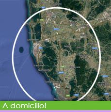 domicilio img bt rollover