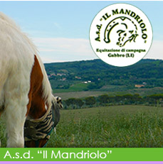 mandriolo img bt rollover