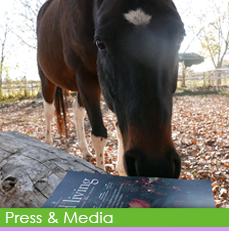 pedro img bt rollover