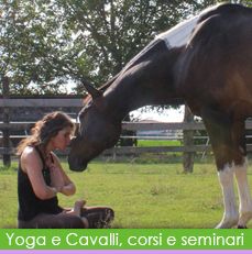 progetto img bt rollover