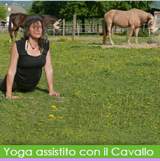 yoga assistito thumbs img bt