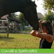 yoga cavalli seminari img bt rollover