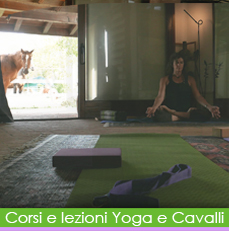 yoga oggi img bt rollover